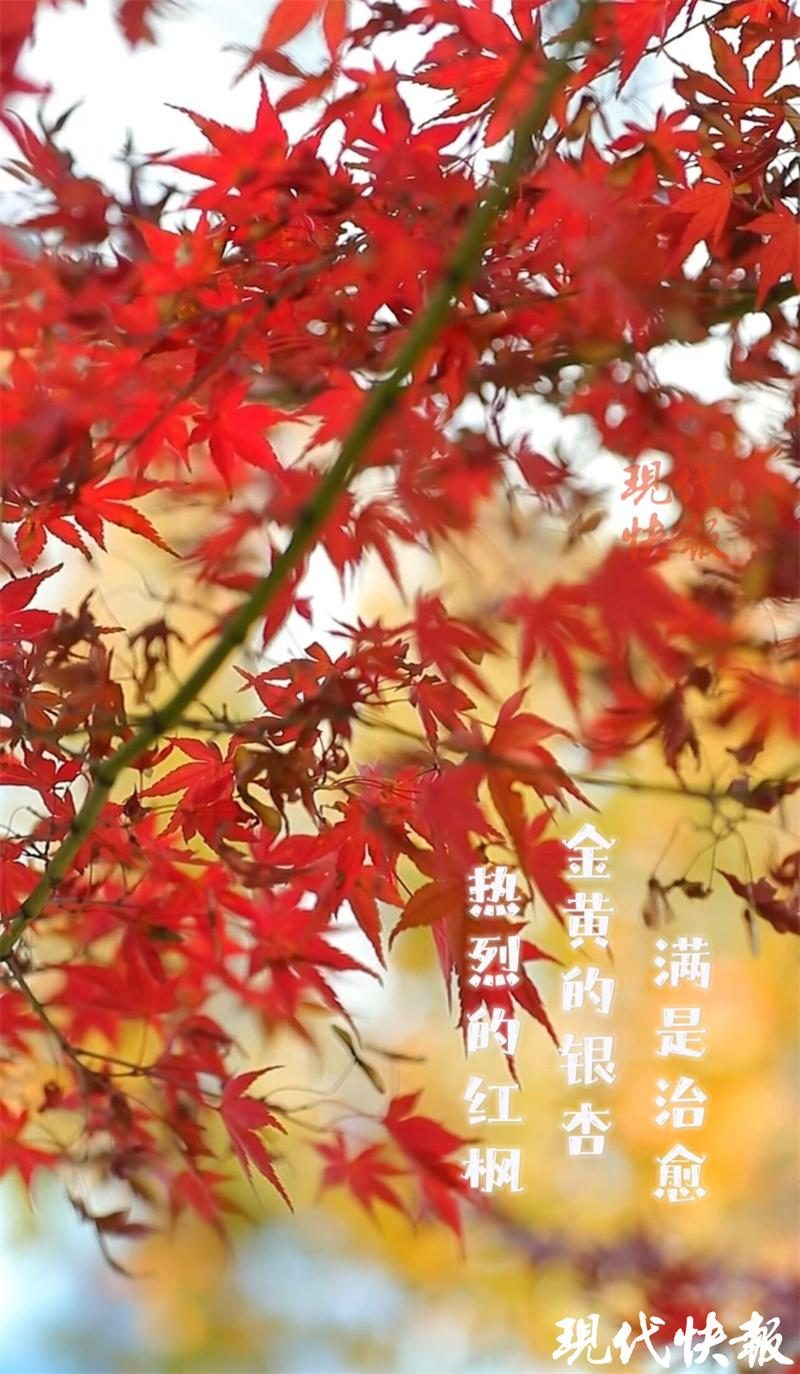 天印湖